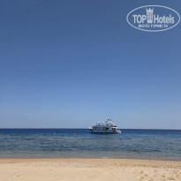 фото из отзыва ID 2727864