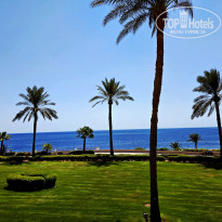 фото из отзыва ID 2727864