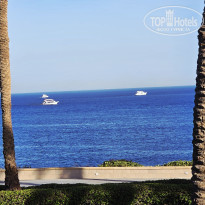 фото из отзыва ID 2727864