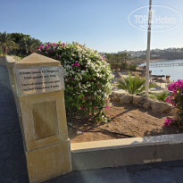 фото из отзыва ID 2727864