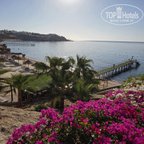 фото из отзыва ID 2727864