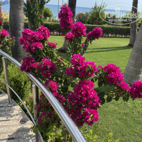 фото из отзыва ID 2727897