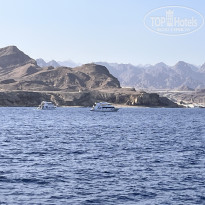 фото из отзыва ID 2727907