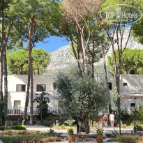 фото из отзыва ID 2727912