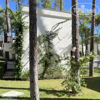 фото из отзыва ID 2727912