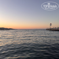 фото из отзыва ID 2727936