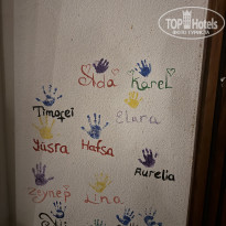 фото из отзыва ID 2727936