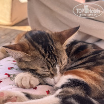 фото из отзыва ID 2727936