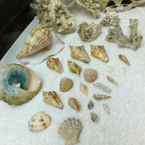 фото из отзыва ID 2727906