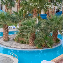 фото из отзыва ID 2727906