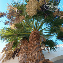 фото из отзыва ID 2727906