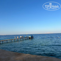 фото из отзыва ID 2727958