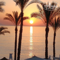 фото из отзыва ID 2728050