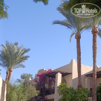 фото из отзыва ID 2728050