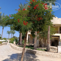 фото из отзыва ID 2728050