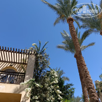 фото из отзыва ID 2728050