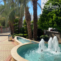 фото из отзыва ID 2728053