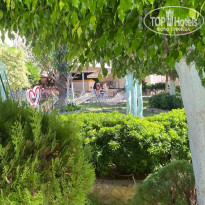 фото из отзыва ID 2728053