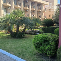 фото из отзыва ID 2728069