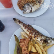 фото из отзыва ID 2728069