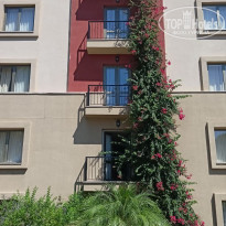 фото из отзыва ID 2728069