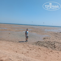 фото из отзыва ID 2727968