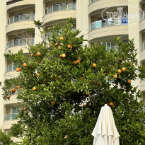 фото из отзыва ID 2728077