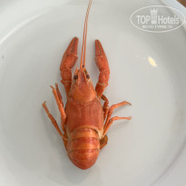 фото из отзыва ID 2728077