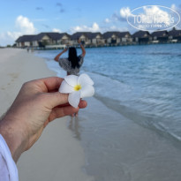 фото из отзыва ID 2728092