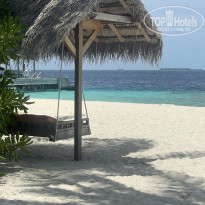 фото из отзыва ID 2728117