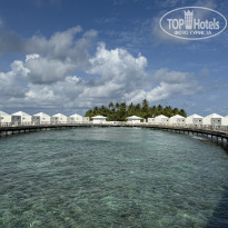 фото из отзыва ID 2728117