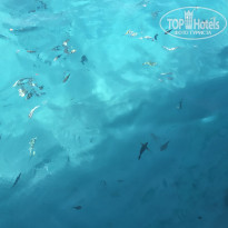 фото из отзыва ID 2728138