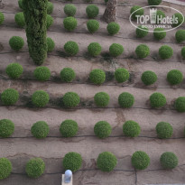 фото из отзыва ID 2728138