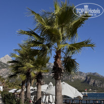 фото из отзыва ID 2728162