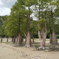 фото из отзыва ID 2728165