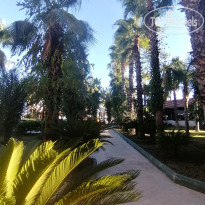 фото из отзыва ID 2728158