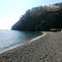 фото из отзыва ID 2728158