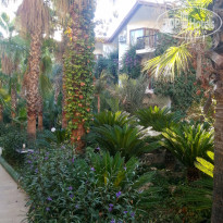 фото из отзыва ID 2728158