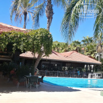 фото из отзыва ID 2728158