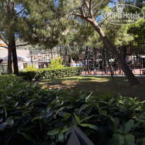 фото из отзыва ID 2728156