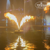 фото из отзыва ID 2727902