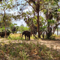 фото из отзыва ID 2728204