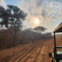 фото из отзыва ID 2728204