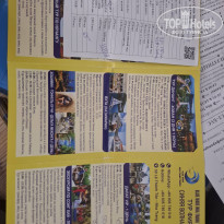 фото из отзыва ID 2728218