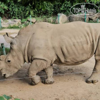 фото из отзыва ID 2728218