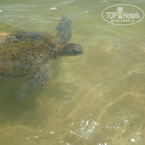 фото из отзыва ID 2728223