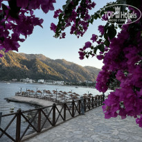 фото из отзыва ID 2728225