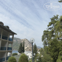 фото из отзыва ID 2728236