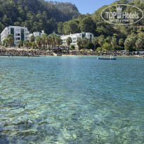 фото из отзыва ID 2728236