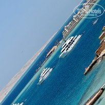 фото из отзыва ID 2728254